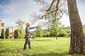 Best Tree Maintenance Programs  in Canadian Lakes, MI