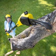 Best Tree Preservation Services  in Canadian Lakes, MI